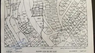 أرض في شارع محمود سراج - 75,000 دأ - صورة NaN